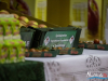 1233img_6009
