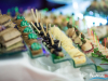 2328img_1229