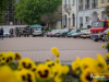 1335img_4667_05_05_2017