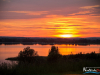 2036img_4278
