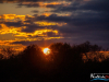 1917img_2905_04_17_2017