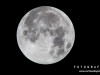 0157img_4476-2