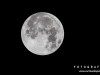 0203img_4491-2