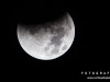 0328img_4507-2