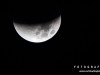 0346img_4524-3