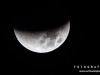 0346img_4526-2