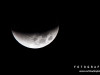 0350img_4529-2