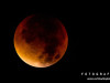 0420img_4543