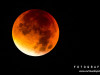 0420img_4544