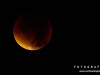 0422img_4550