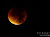 0422img_4551