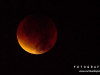 0424img_4556