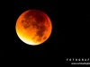0425img_4559