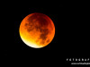 0425img_4561