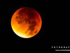 0426img_4564