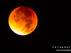 0427img_4566