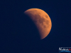 2100img_1008