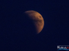 2104img_1011