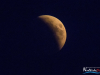 2112img_1027