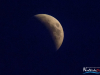 2112img_1028