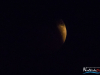2122img_1052