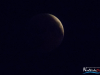 2128img_1088