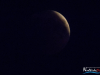 2128img_1089