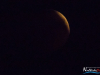 2128img_1090