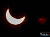 1046img_3460-2