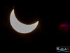 1046img_3460