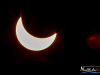 1046img_3463-2