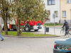 1251img_3271_12_19_2015