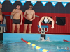 zawody-plywackie0026