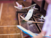1210img_2265