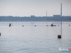 1157img_7728