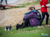 1133img_4784