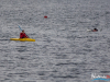 1150img_4810