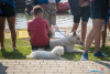 1_0859IMG_0081_wynik