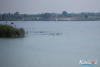 1_1014IMG_0164_wynik