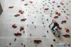 1042IMG_4074