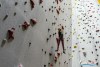 1048IMG_4084