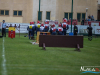 1517img_9907