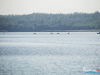 1301_img_8783_wynik