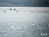1303_img_8790_wynik