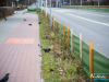 1145img_6737