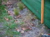 1145img_6740