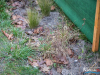 1145img_6742