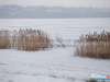 1056img_1391