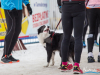 1059img_1404