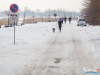 1159img_1515